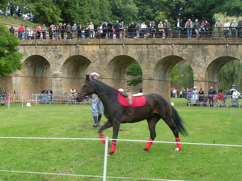 REMPARTS LONGWY 2008 160.jpg